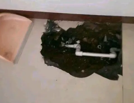 安国卫生间测漏水多少钱